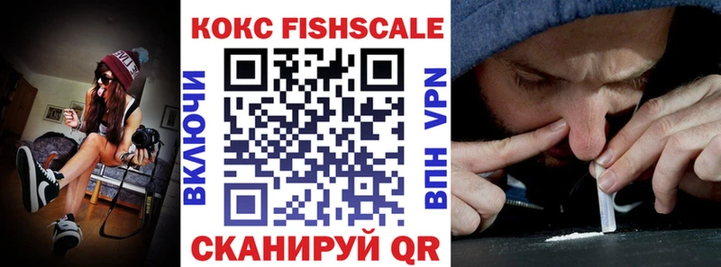 где можно купить   Кола  Cocaine Fish Scale 