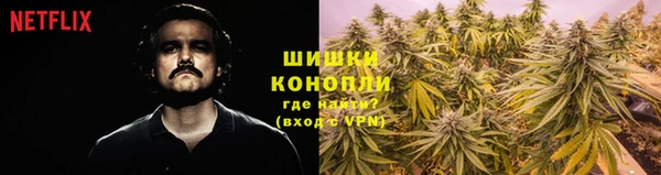героин Алексин