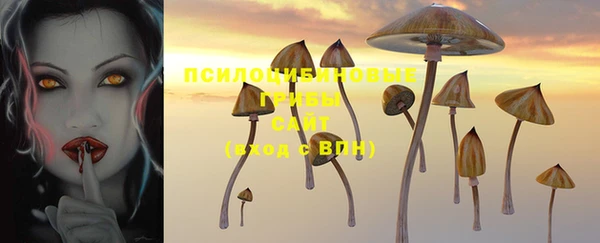 героин Алексин